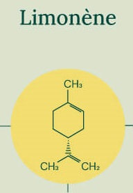 Nouveau! Formation étiquetage des allergènes en cosmétique